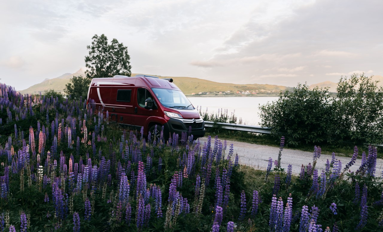 Copyright Glueck-freizeitmarkt.de (c) Glueck-freizeitmarkt.de